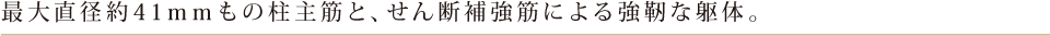 最大直径約41mmもの柱主筋と、せん断補強筋による強靭な躯体。