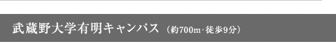 武蔵野大学有明キャンバス(約700m・徒歩9分)