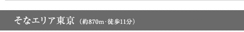 そなエリア東京(約870m・徒歩11分)