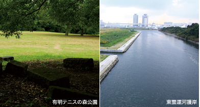 有明テニスの森公園 東雲運河護岸